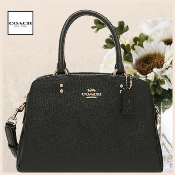 NWT COACH Leather Mini Lillie Carryall Black With Gold Hardware - Picture 1 of 10